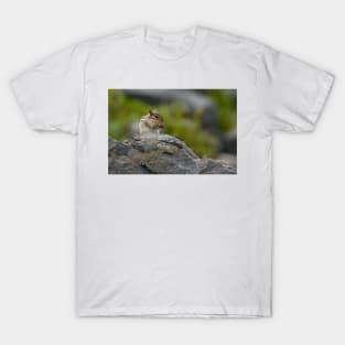 Chipmunk T-Shirt